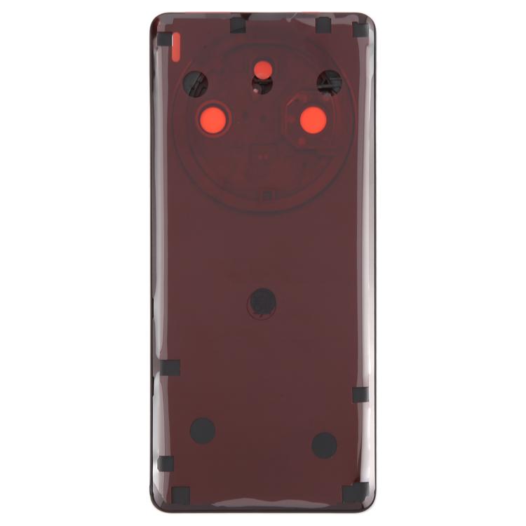 Back Glass Panel for Vivo X100 Pro Black with Camera Lens EGFix