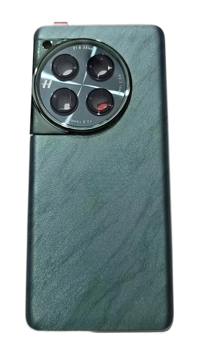 Back Glass Panel with Camera Lens for Oneplus 12 Green - EGFix