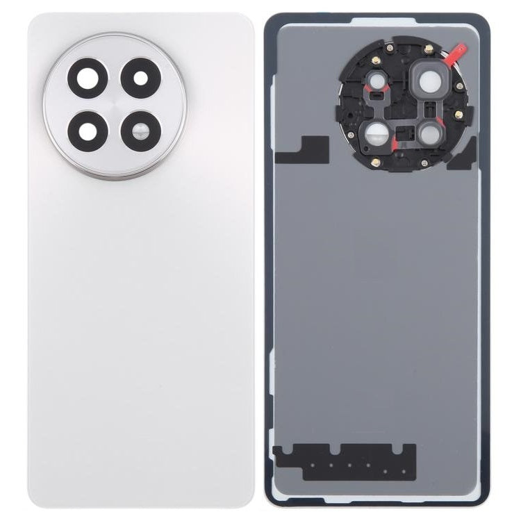 Back Glass Panel for Oneplus 13R Silver with Camera Lens