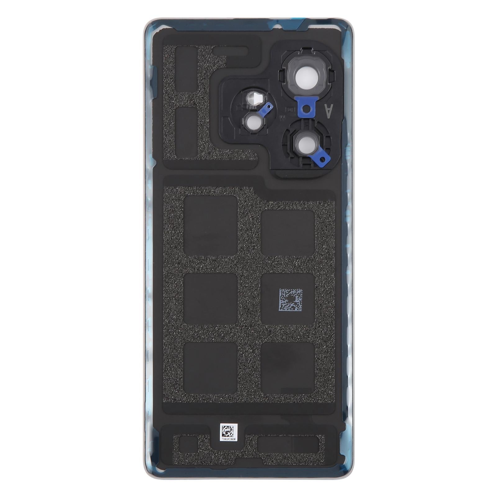 Back Glass Panel for Realme GT 6 5G Silver with Camera Lens