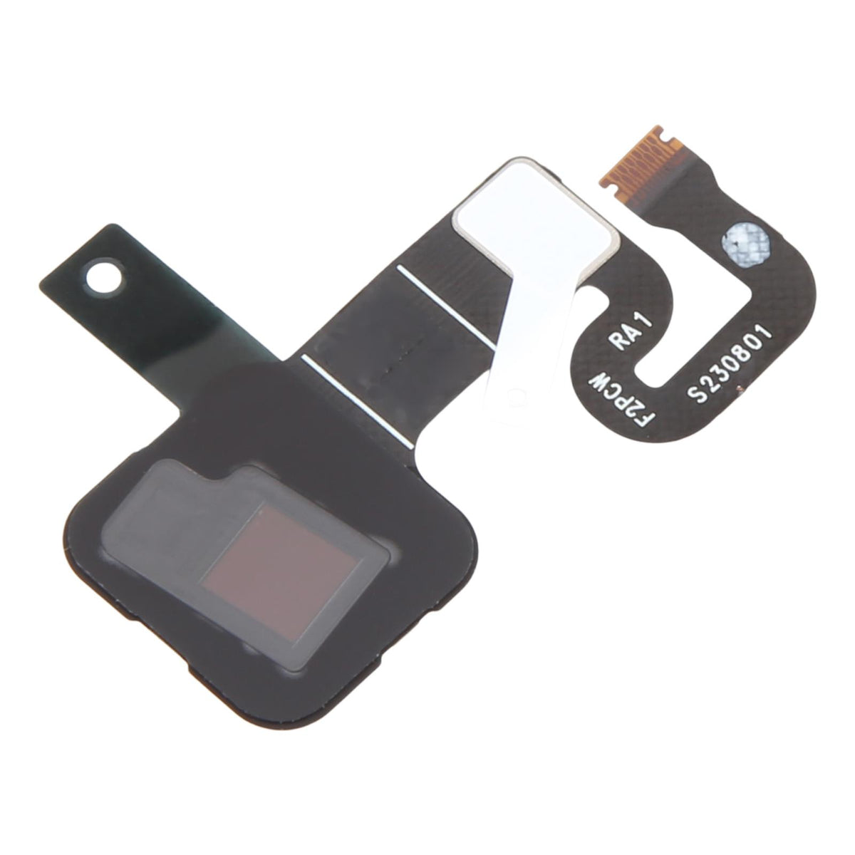 Fingerprint Sensor Flex for Google Pixel 8