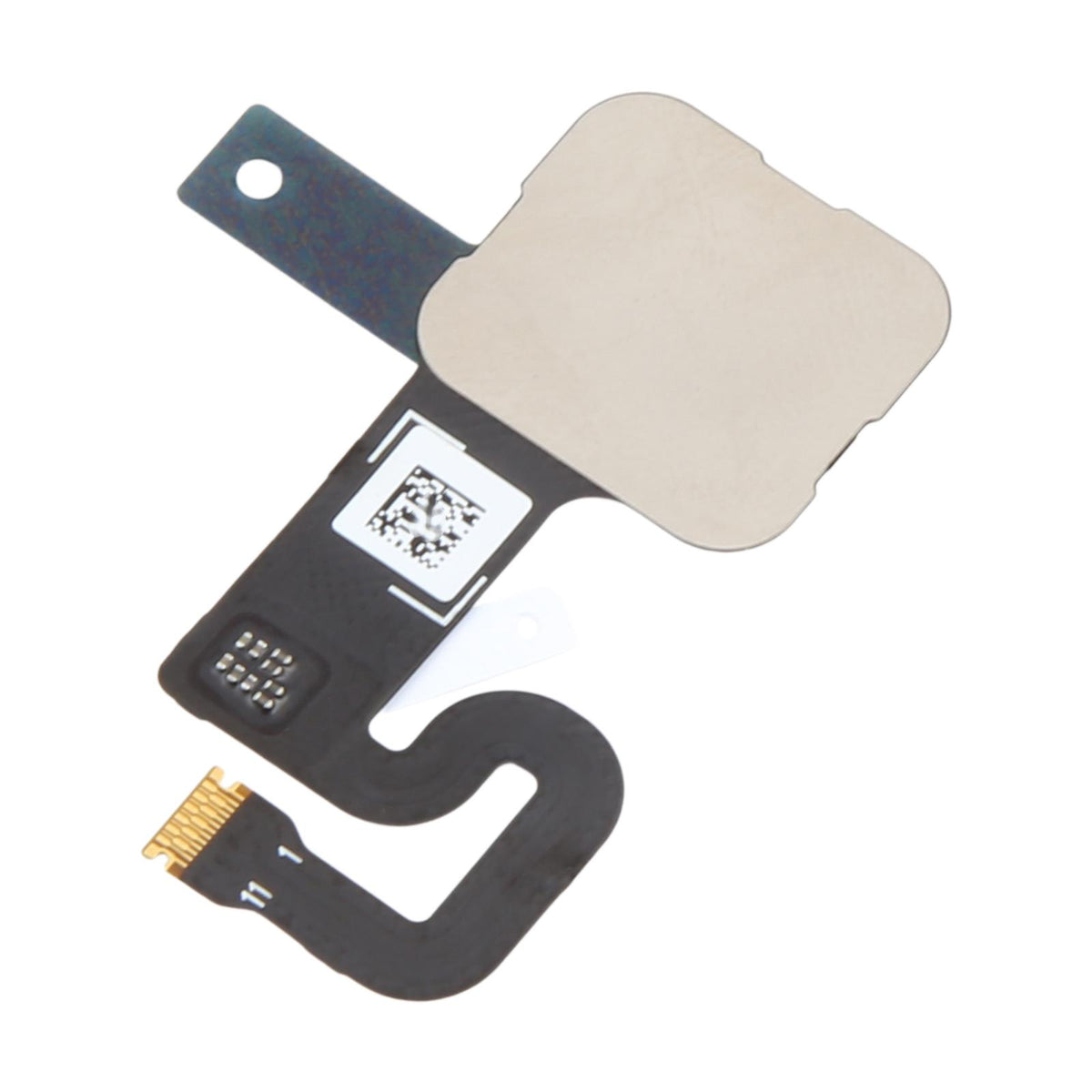 Fingerprint Sensor Flex for Google Pixel 8