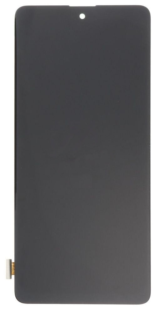 LCD Display Screen for Samsung Galaxy Note 10 Lite Folder Combo EGFix