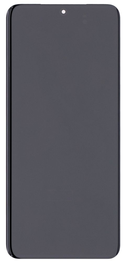 LCD Display Screen for Samsung Galaxy S20 Folder Combo EGFix