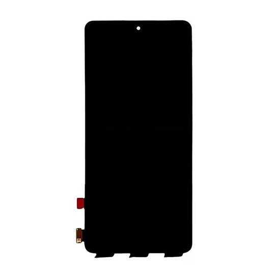 OLED Display Screen for IQOO Neo 7 Folder Combo Fingerprint Working