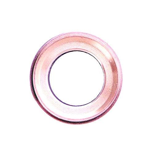 Camera Lens Glass for Apple iPhone 6S Rose Gold with Frame - EGFix