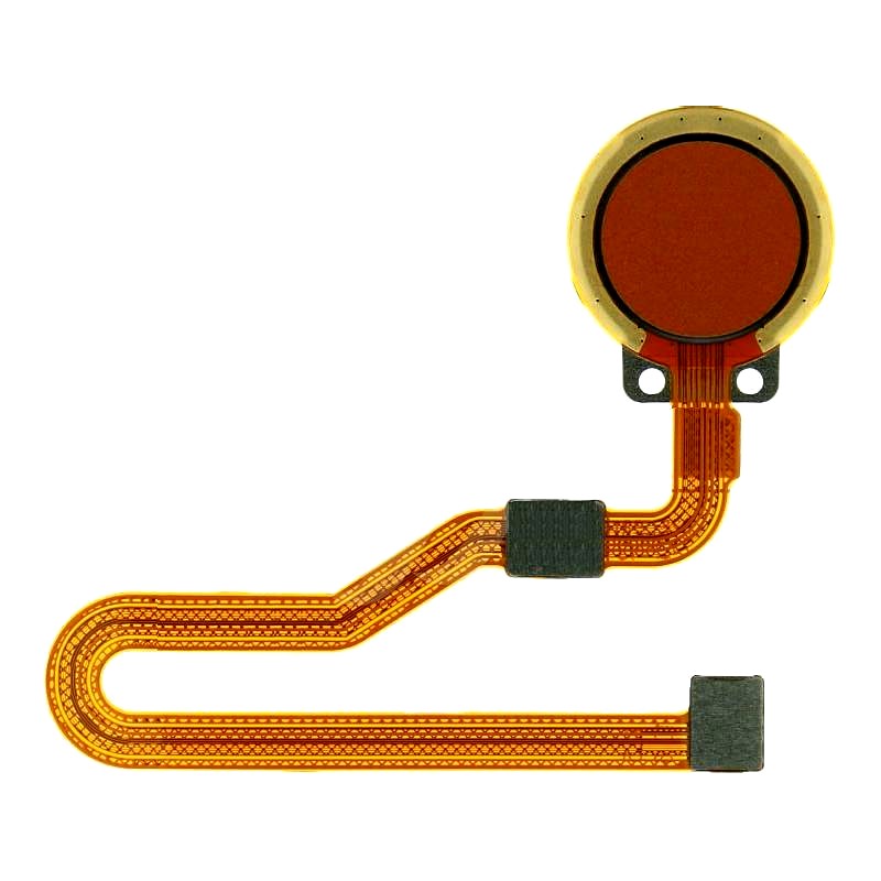 Fingerprint Sensor Flex for Nokia 5.3 Sand - EGFix
